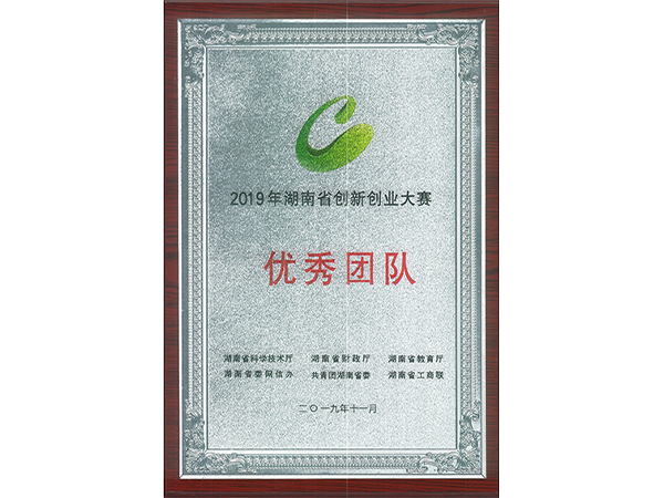 2019-湖南省創(chuàng)新創(chuàng)業(yè)大賽優(yōu)秀團隊