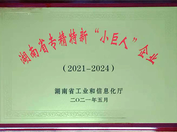 湖南省專精特新“小巨人”企業(yè)